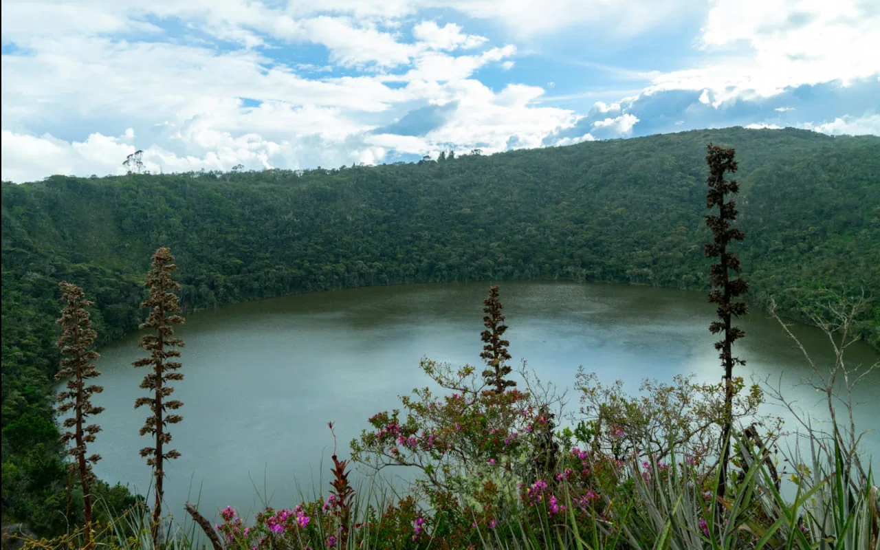 Casa loca Guatavita
